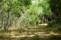 Property photo of 100 Weaver Road Noonamah NT 0837