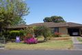 Property photo of 53 Williams Road Millicent SA 5280