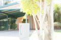 Property photo of 11 Gibson Street Goondiwindi QLD 4390