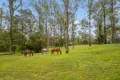 Property photo of 1 Nullamanna Road Camp Mountain QLD 4520