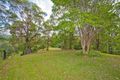 Property photo of 81 Chilcotts Road Crystal Creek NSW 2484