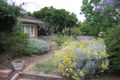 Property photo of 16 Hunt Avenue Tranmere SA 5073