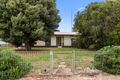Property photo of 84 Main Street Brinkworth SA 5464