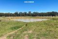 Property photo of 13497 Guyra Road Tingha NSW 2369