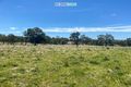 Property photo of 13497 Guyra Road Tingha NSW 2369