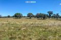 Property photo of 13497 Guyra Road Tingha NSW 2369