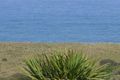 Property photo of 13 Rees Street Kilcunda VIC 3995