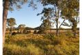 Property photo of 17 Hillcrest Court Imbil QLD 4570