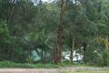 Property photo of 31 Endeavour Drive Bellingen NSW 2454