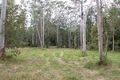 Property photo of 264 Ringtail Creek Road Ringtail Creek QLD 4565