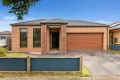 Property photo of 14 Cutleaf Crescent Tarneit VIC 3029