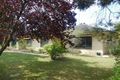 Property photo of 1 Hetherington Avenue Penola SA 5277