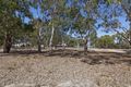Property photo of 133 Banksia Road Wellard WA 6170