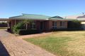 Property photo of 114 Moss Avenue Narromine NSW 2821