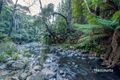 Property photo of 185 Metaira Road Ridgley TAS 7321