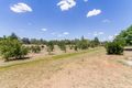 Property photo of 58 Dawson Drive Cowra NSW 2794