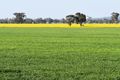 Property photo of 3497 Henry Lawson Way Ooma NSW 2871