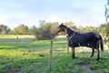 Property photo of 73 Ibis Retreat Stake Hill WA 6181