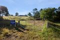 Property photo of 24 Oak Street Wyndham NSW 2550