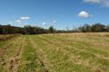 Property photo of 199 Berecry Road Mangrove Mountain NSW 2250