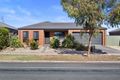 Property photo of 231 Station Street Epsom VIC 3551