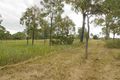 Property photo of 6 Pine Tree Drive Winya QLD 4515