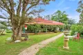 Property photo of 203 Upper Dartbrook Road Upper Dartbrook NSW 2336