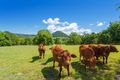 Property photo of 43 Mountain View Road Pinbarren QLD 4568
