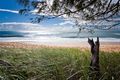 Property photo of 4 Beachside Court Shelly Beach QLD 4551