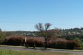 Property photo of 16 Vaucluse Place Parkes NSW 2870