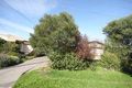 Property photo of 14 Shalford Terrace Campbelltown SA 5074