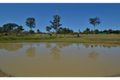 Property photo of 39 Clarkson Drive Curra QLD 4570