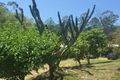 Property photo of 159 Ratcliffe Road Diamond Valley QLD 4553