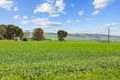 Property photo of 314 Windview Road Snowtown SA 5520