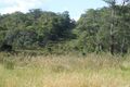 Property photo of 109 Warra Forest Road Mount Mitchell NSW 2365