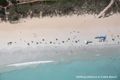 Property photo of 17/10 Sanctuary Road Cable Beach WA 6726