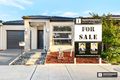 Property photo of 41 Wilkiea Crescent Cranbourne North VIC 3977
