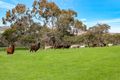 Property photo of 3693 Range Road Waitpinga SA 5211