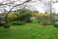 Property photo of 100 Dorking Road Box Hill North VIC 3129