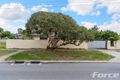 Property photo of 228 Erindale Road Hamersley WA 6022