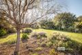 Property photo of 50 Lorimer Road Naracoorte SA 5271
