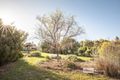Property photo of 50 Lorimer Road Naracoorte SA 5271