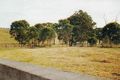Property photo of 474 Menangle Road Menangle NSW 2568