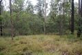 Property photo of 278 Hodges Road Isis Central QLD 4660
