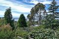 Property photo of 77 Channel Highway Taroona TAS 7053