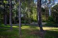 Property photo of 26 Bahdilli Crescent Diddillibah QLD 4559