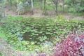 Property photo of 21 Branch Crescent Reedy Creek QLD 4227