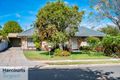 Property photo of 53 Autumn Avenue Lockleys SA 5032