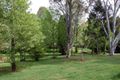 Property photo of 18 Bielsdown Street Dorrigo NSW 2453