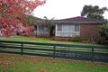 Property photo of 51 Wright Street Camperdown VIC 3260